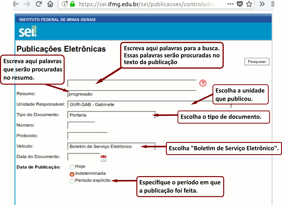 Orientação para persquisas de publicações no SEI.png