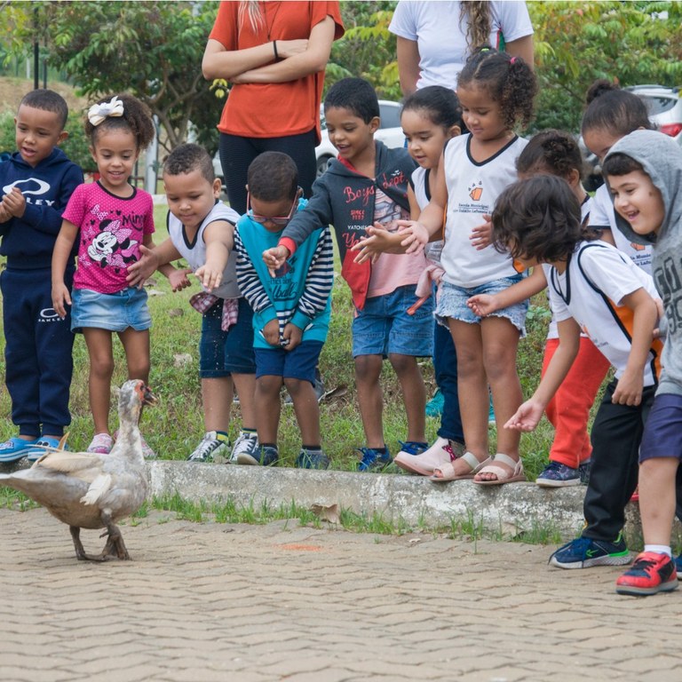 Visita alunos da educação infantil à horta do Campus