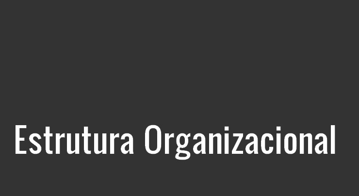 Ícone Estrutura Organizacional
