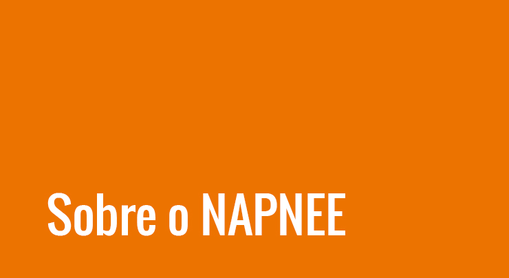 Sobre o Napnee
