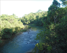 O bioma Cerrado é um dos temas de pesquisa do prof. Pedro Camargo. 
Foto: Arquivo pessoal