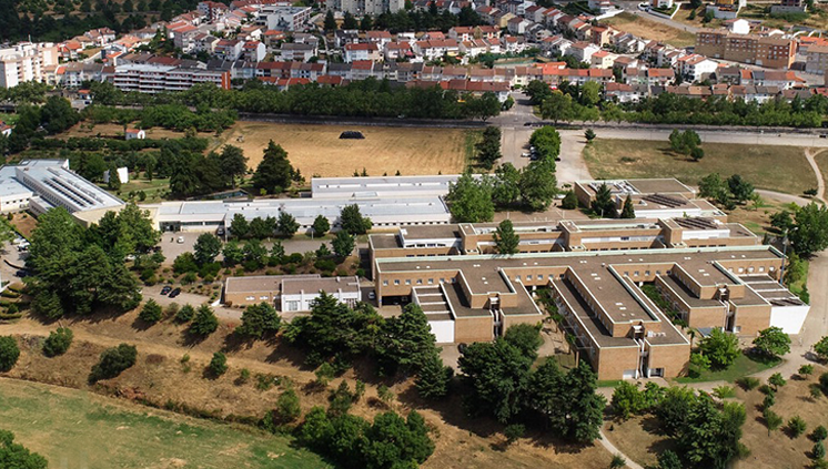 IPB