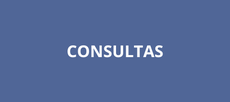 Consultas SEI
